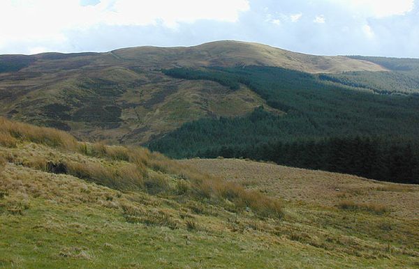 I INVENTED A NEW SPORT