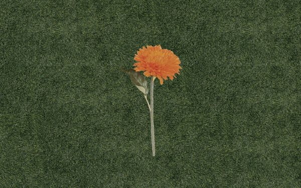 COMING UP WITH A COMPLETE LIST OF WAYS TO FEEL GOOD