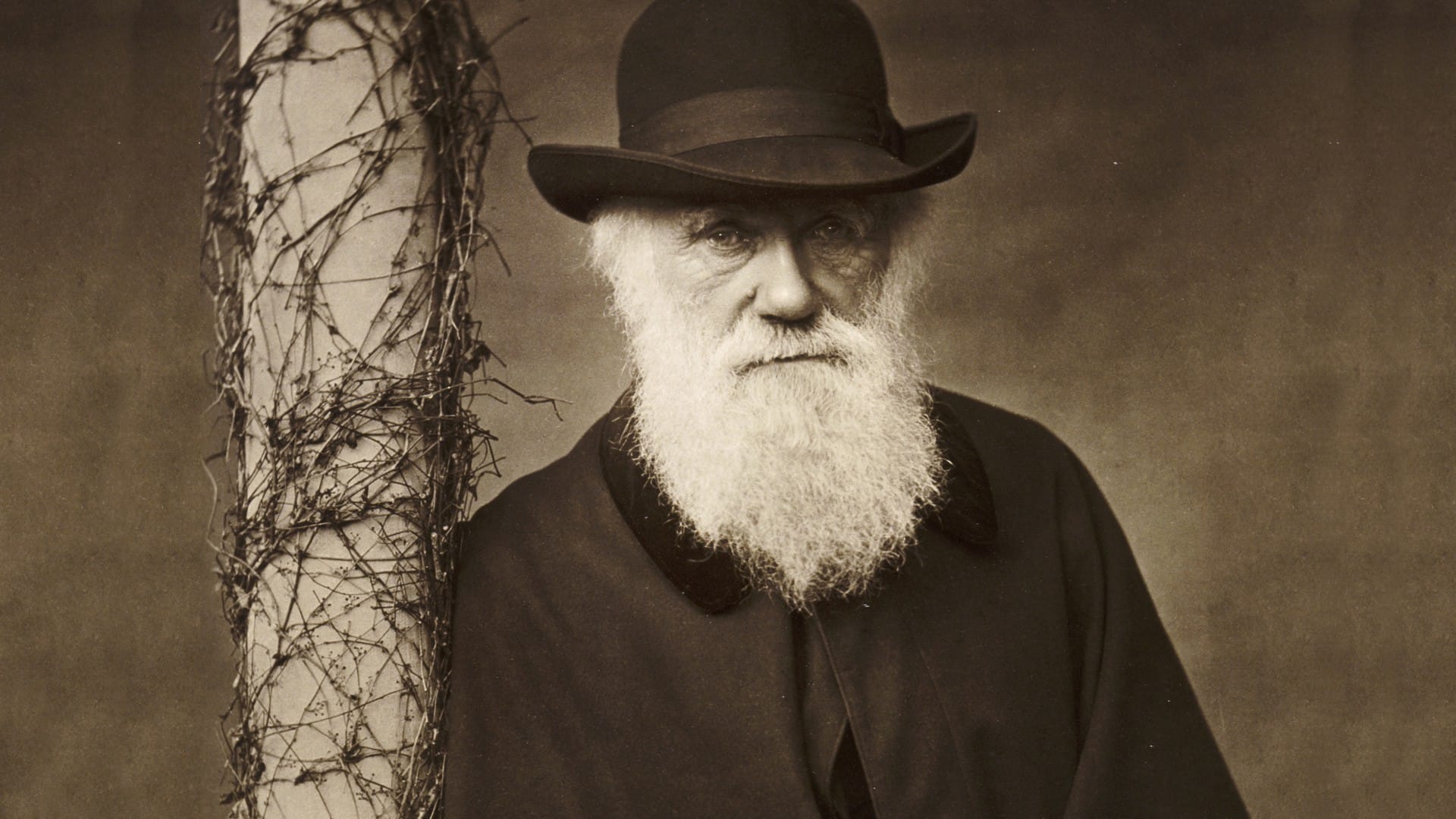 Black and white photo of Charles Darwin