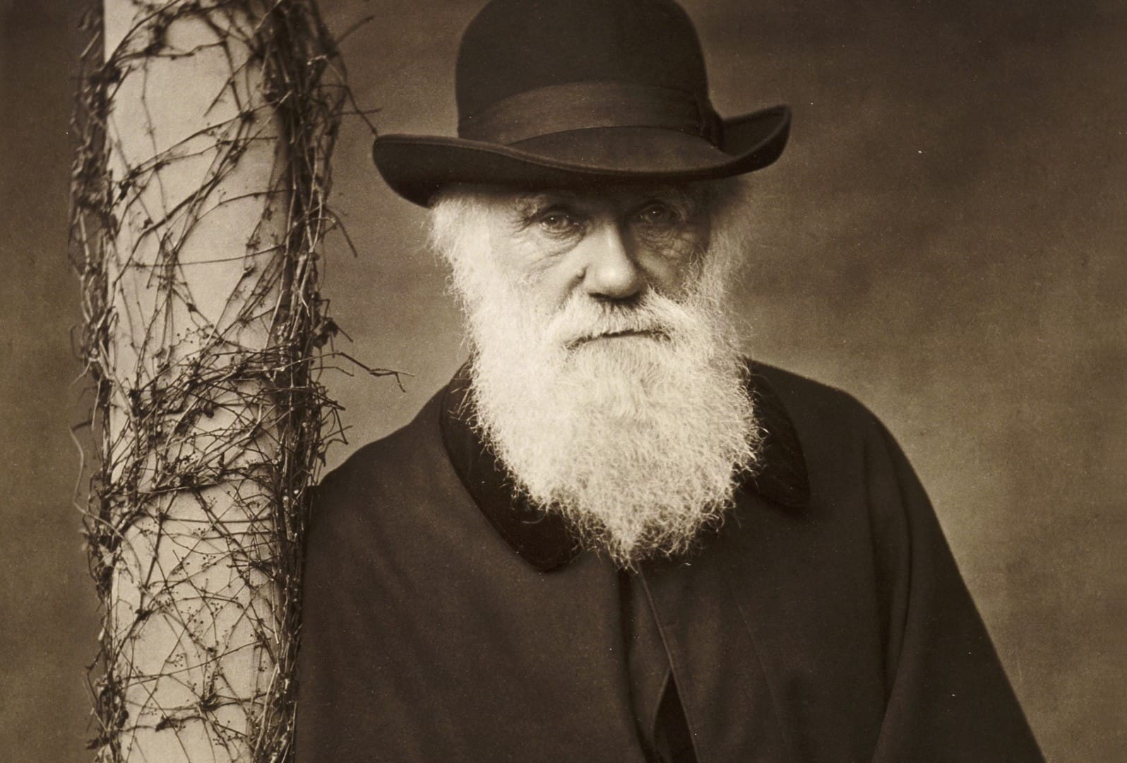 Sepia portrait of an old man with a large white beard.