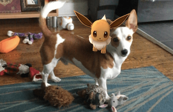 Pets Who Are Terrible At Catching Pokemon