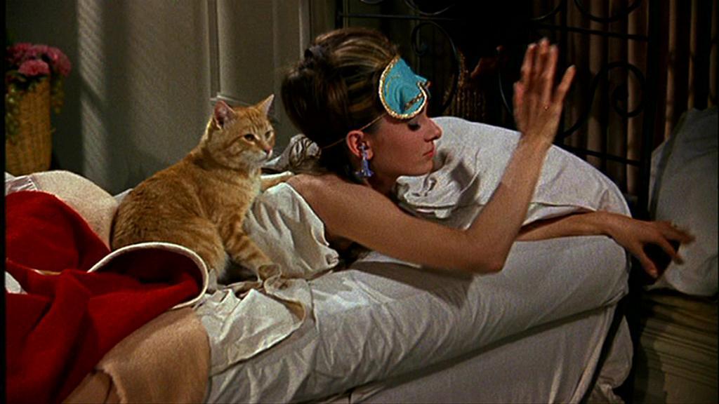 Cat, Breakfast at Tiffany's