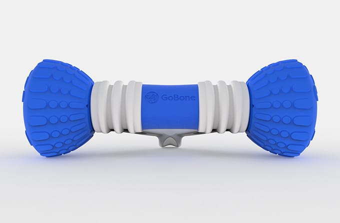 GoBone high-tech toy
