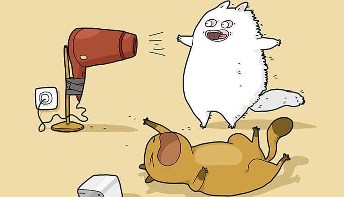 12 Comics Showing the Benefits of Using a Pet Camera