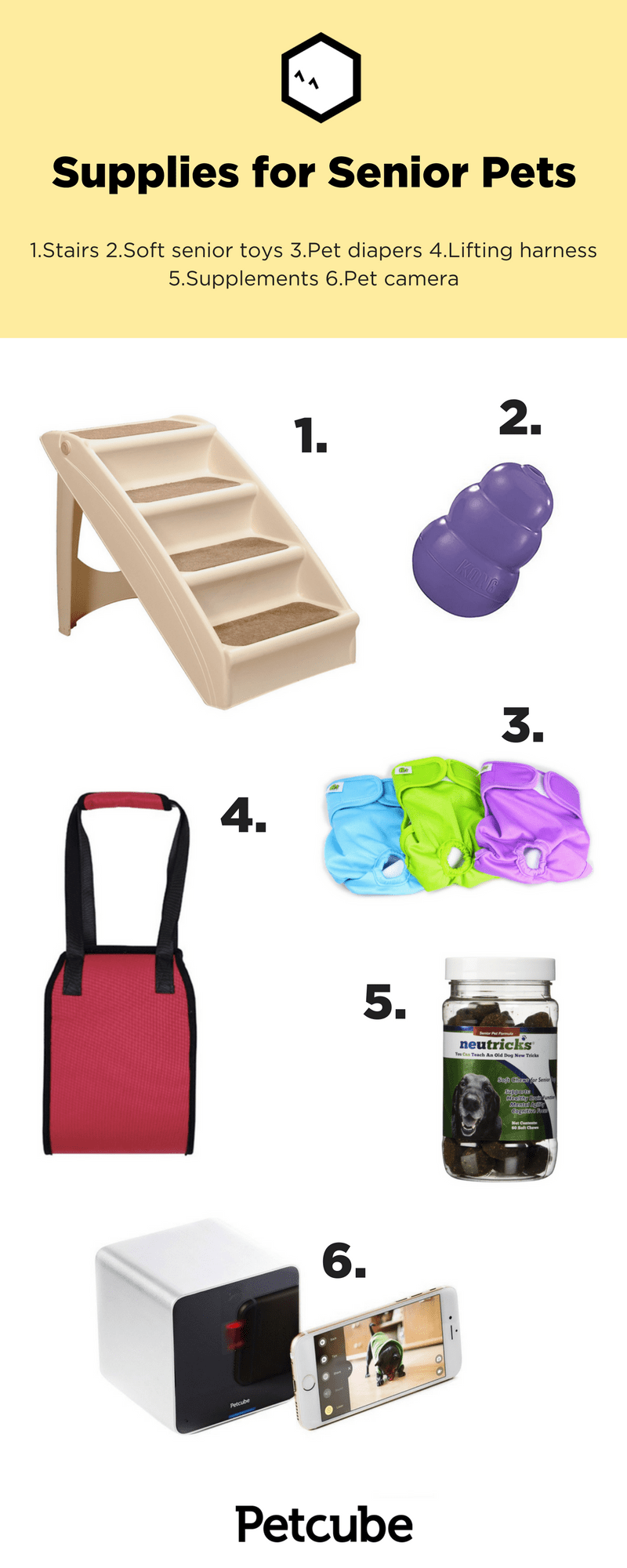Infographic of the 6 supplies for senior pets, ranging from supplements to harnesses and toys to pet cameras