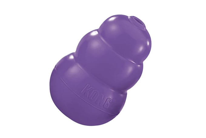 Photo of a toy for a senior dog