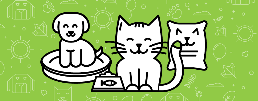 5 Steps To Become An Eco-Friendly Pet Parent