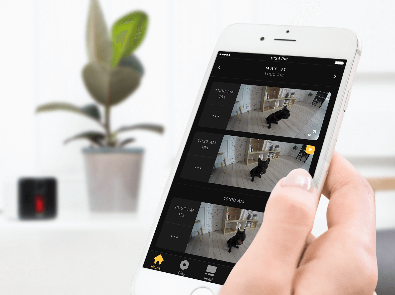 Don't miss out! Petcube Care gives you video history