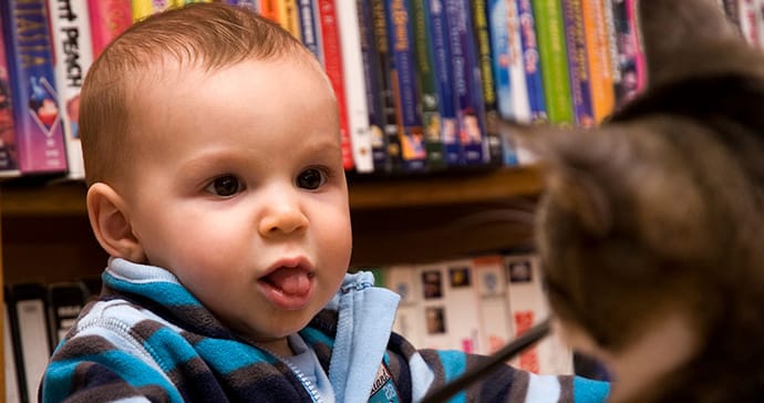 Cute baby boy stares at a cat