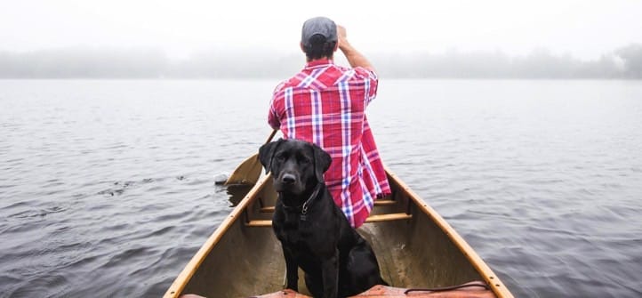 Pros and Cons of Owning a Pet