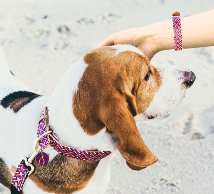Original Friendship Collar and matching bracelet