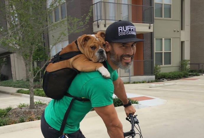dog backpack ruffit