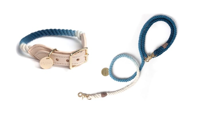 Found My Animal Leash and Collar