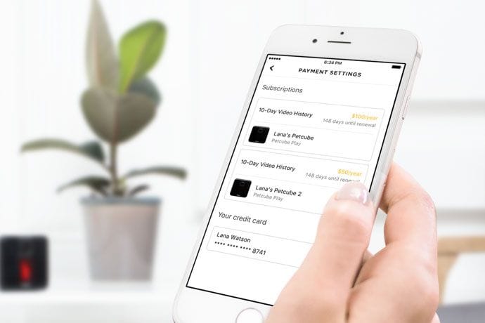 Petcube app multicare subscriptions