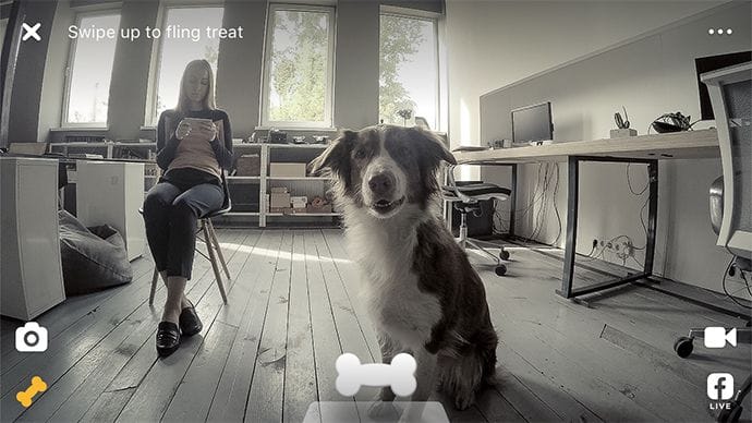 Petcube Bites Game Screen