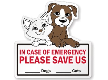 7 Critical Pet Fire Safety Tips