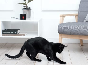 Petcube Play - The World’s Best Interactive Pet Camera