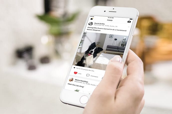 15 Free Apps For Dog Owners