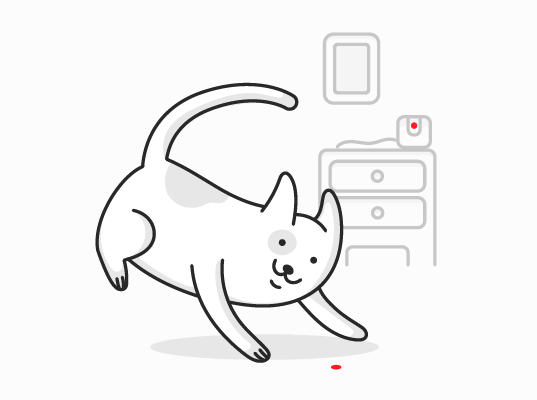 Are Laser Pointers Bad for Cats: Pros vs Cons