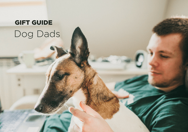 Gift Guide: 12 Gifts For The Doggy Daddy