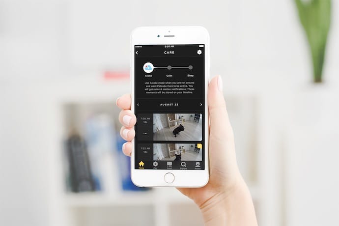 Petcube Care, cloud video recording service