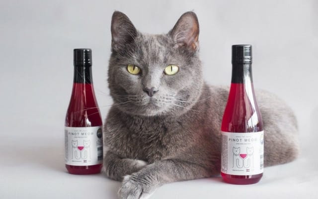 cat wine