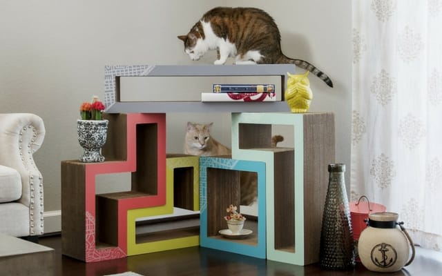 katris cat christmas gift