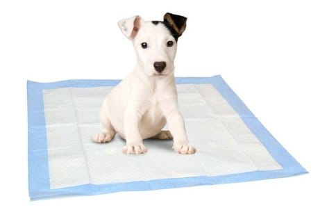 Puppy Pads