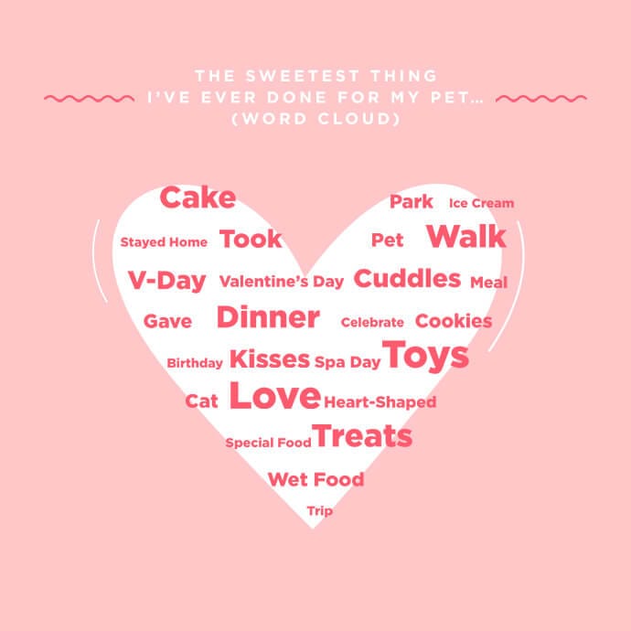 The sweetest things pet parents have done for pets infographic