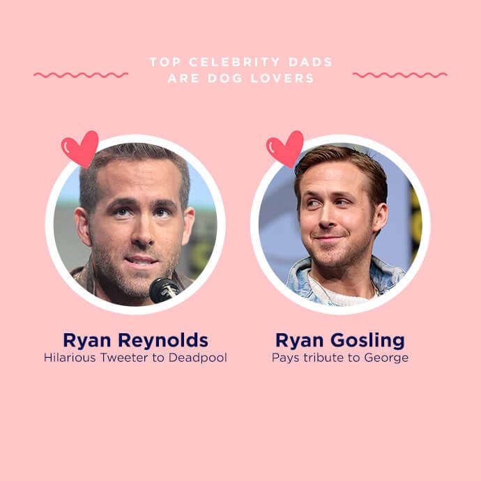 Top celebrity pet dads