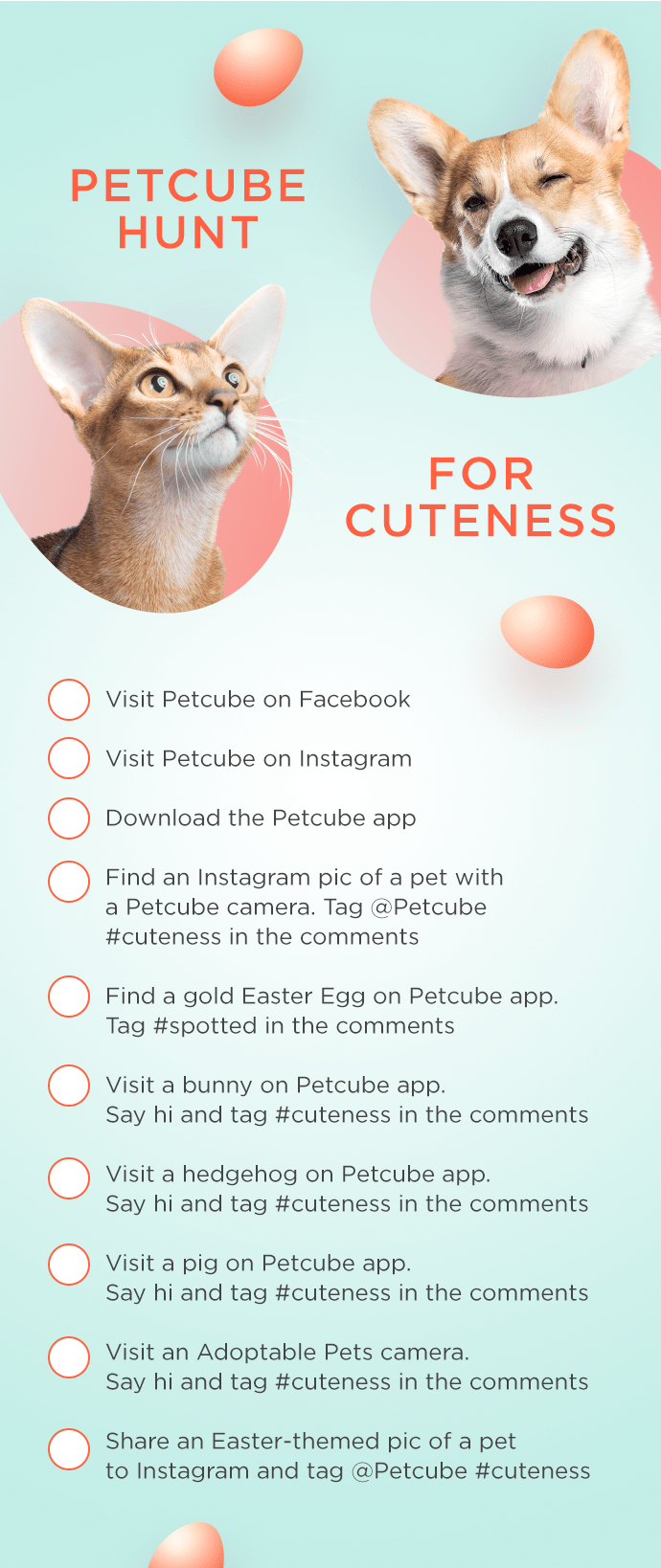 Petcube hunt poster