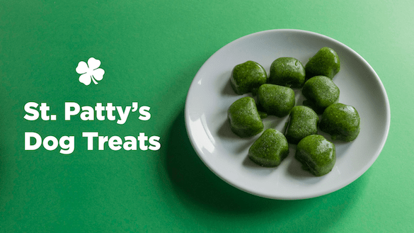 St. Patty's Frozen DIY Dog Treats