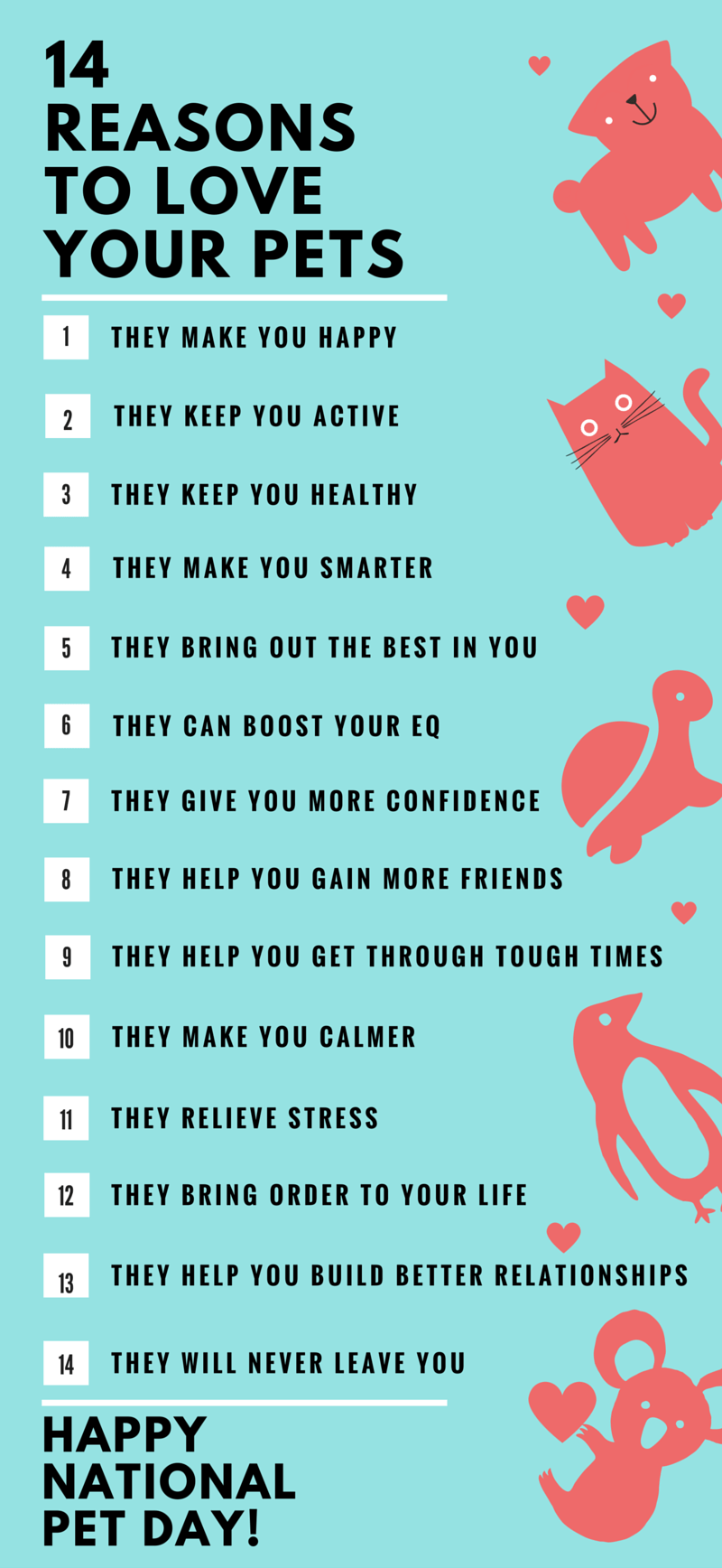 pet love infographic