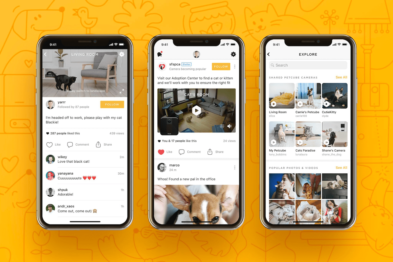 Petcube App 4.0