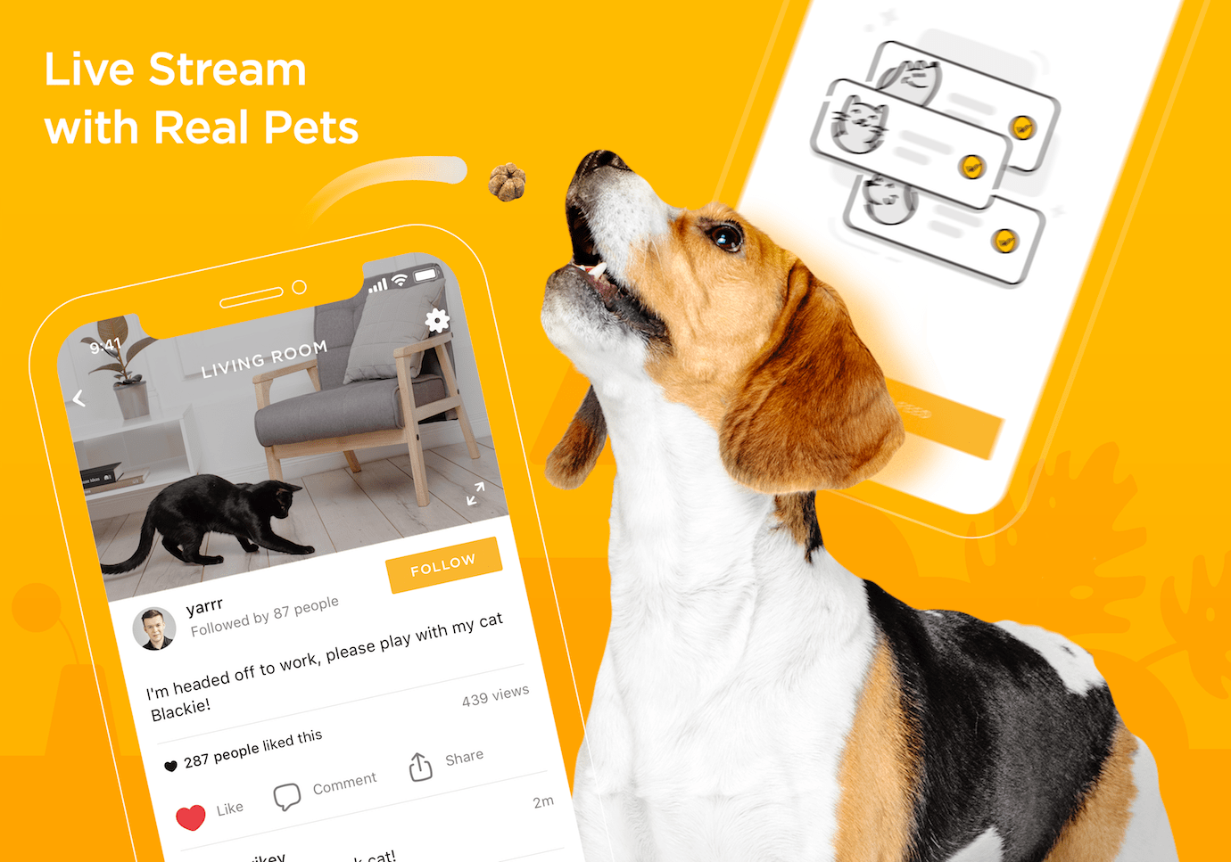 Petcube App 4.0 Live Streaming