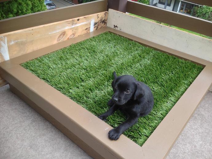 dog astroturf porch potty
