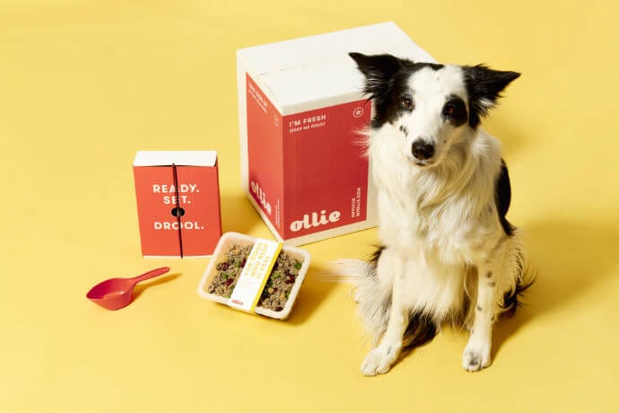 Ollie dog food