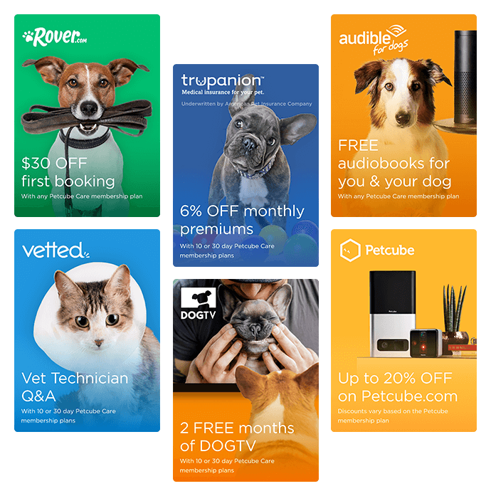 Petcube Care Partner Perks
