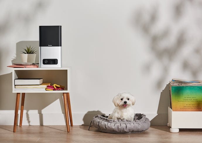 Petcube pet camera to monitor puppy home alone