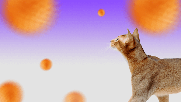 With Smart Alerts, Only Get Alerts That Matter