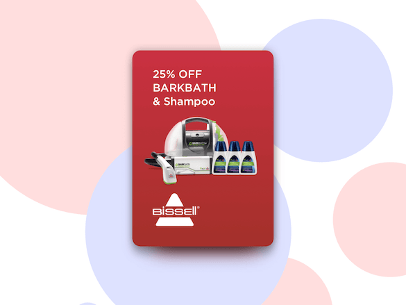 Spring-Clean Your Pup With A New Petcube Care Perk