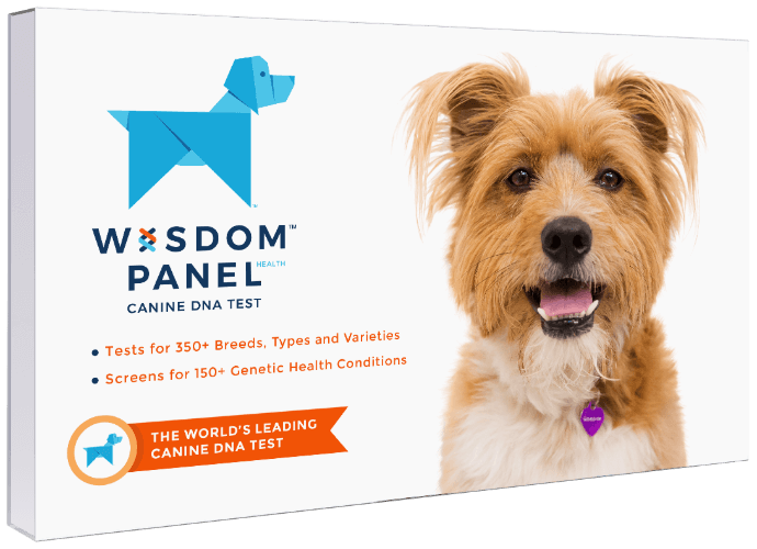 Wisdom Panel Canine DNA Test