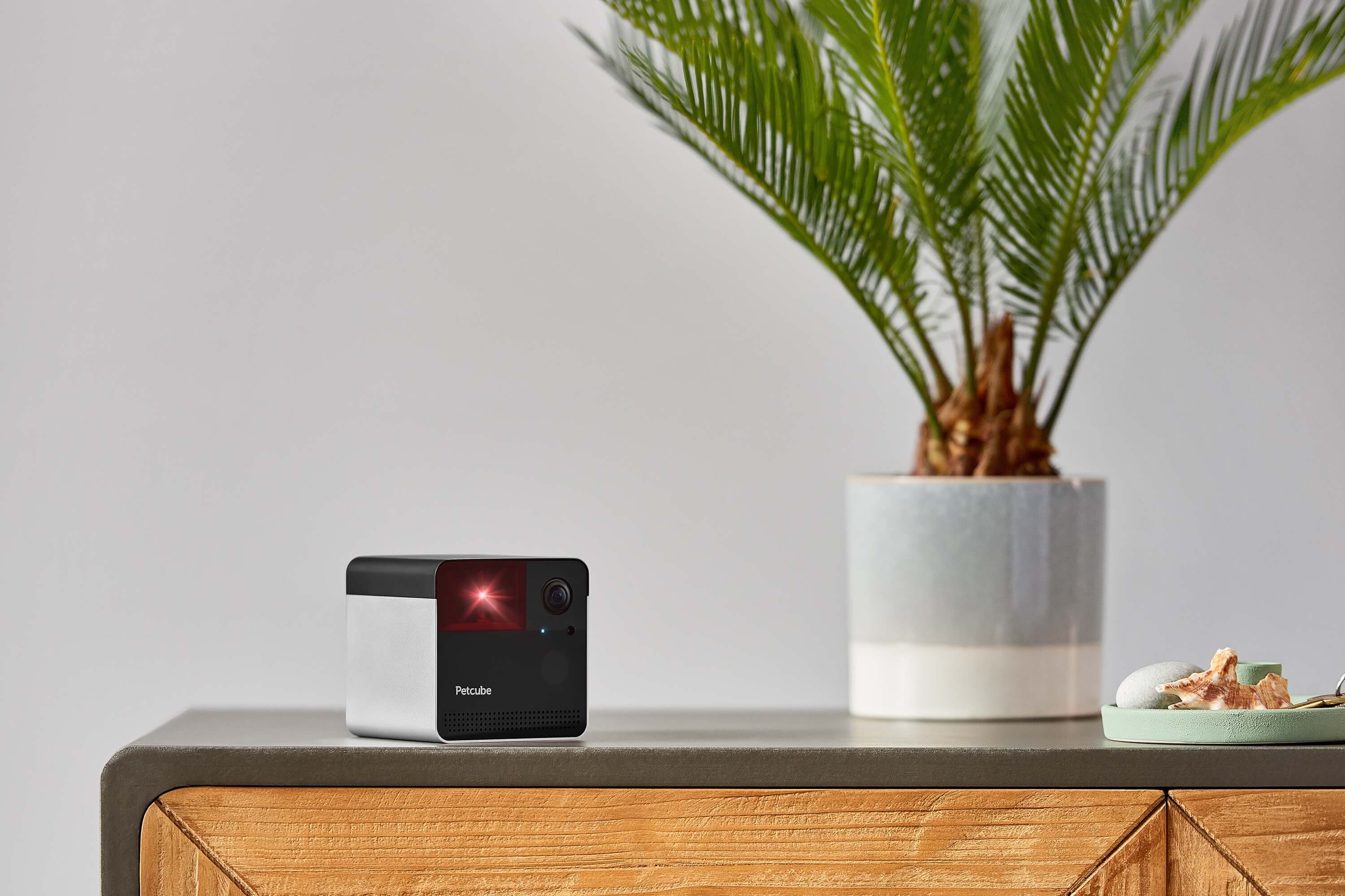 Petcube is a Perfect Gift