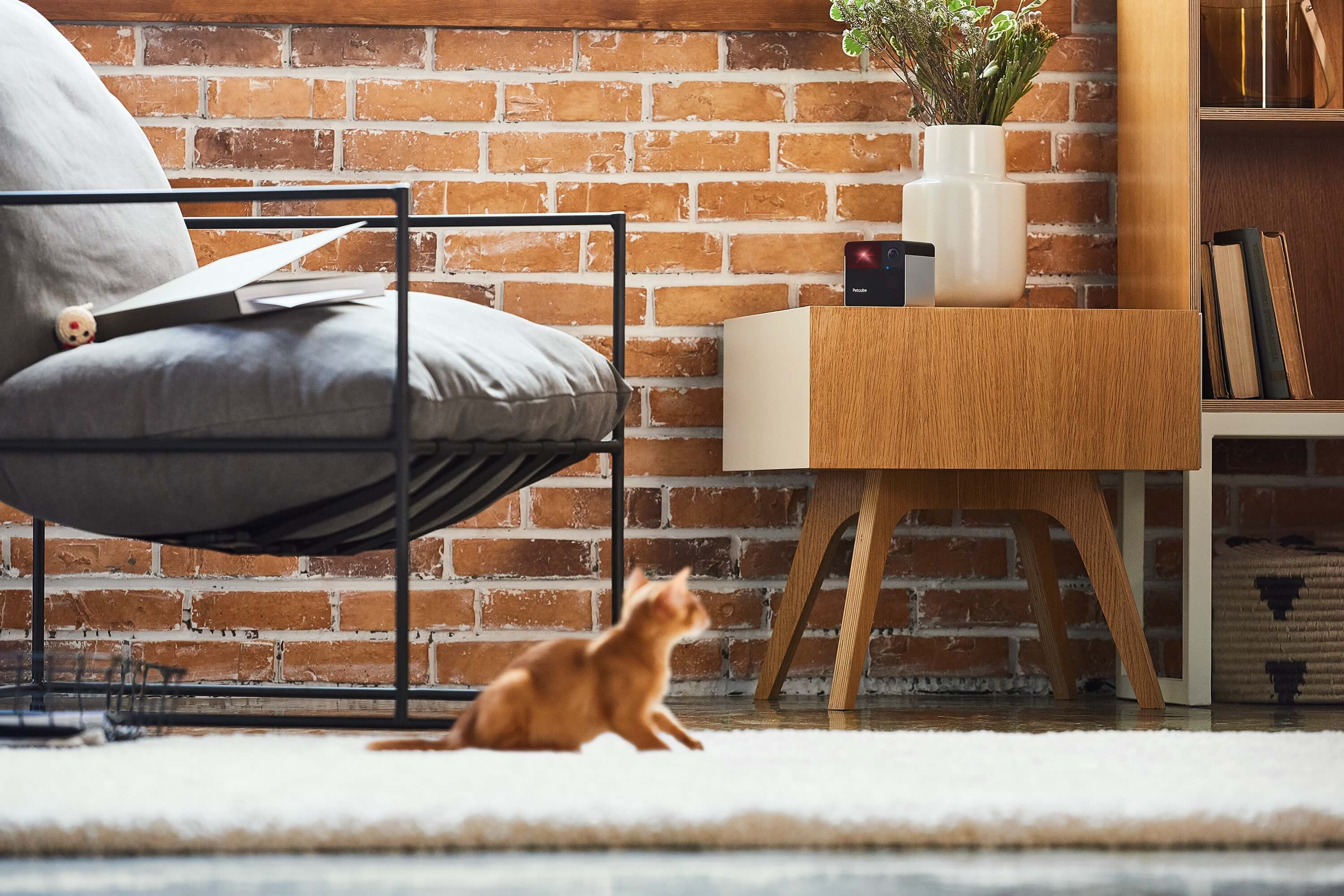 petcube play pet camera