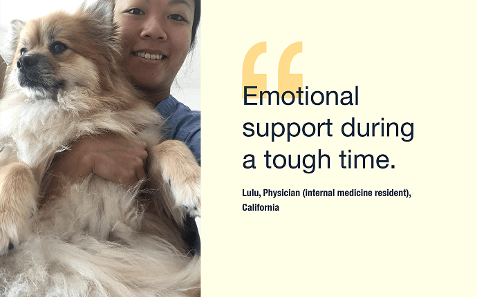 a pet parent and a dog