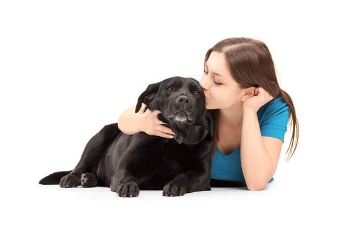 what to do if you have pet allergies