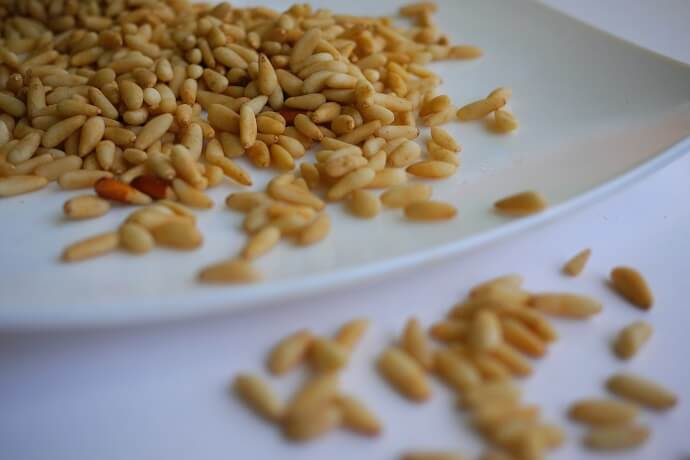 can dogs eat pine nuts