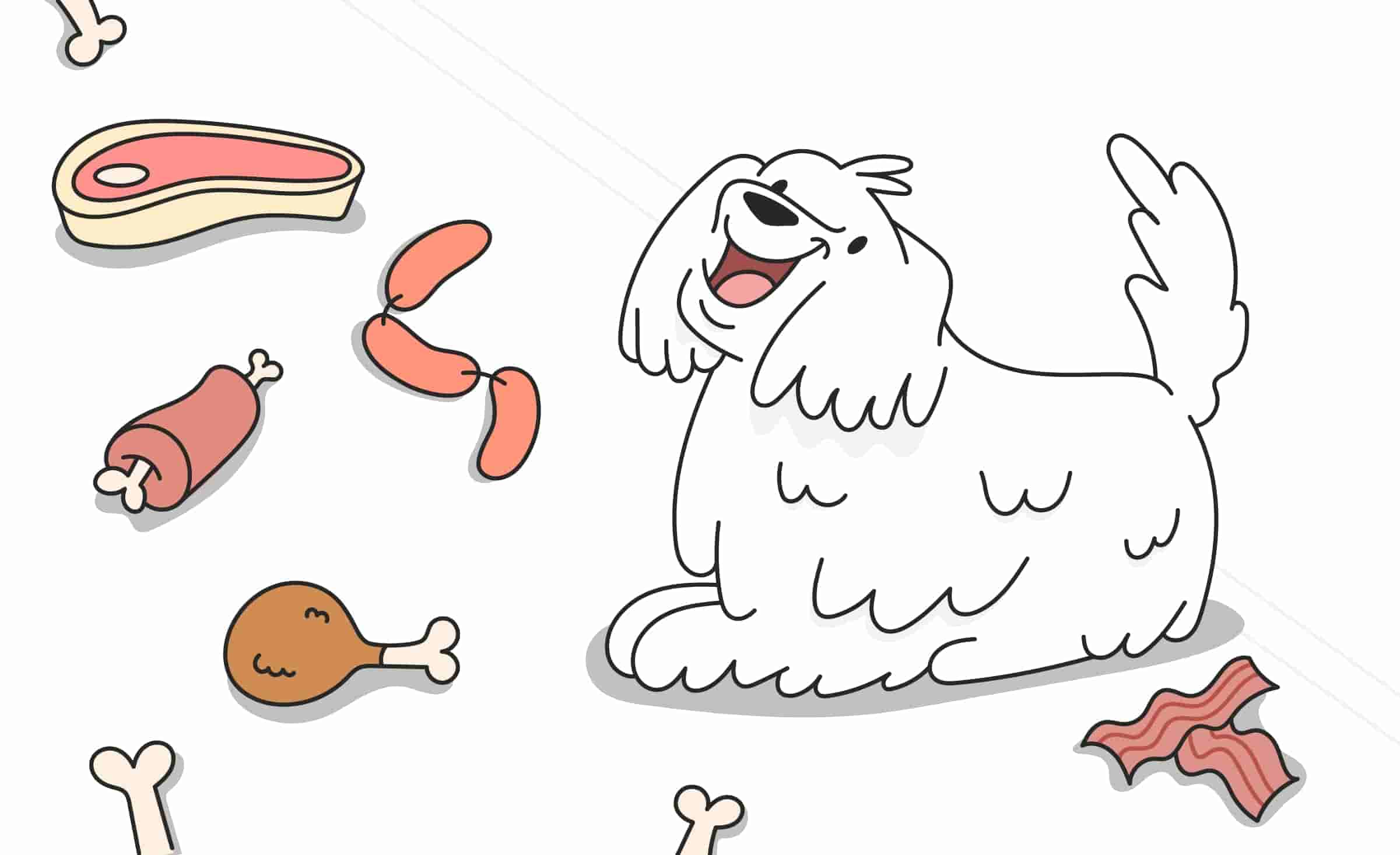 Pork, Chicken, Beef, or Lamb: Is Any Meat Good For Dogs?