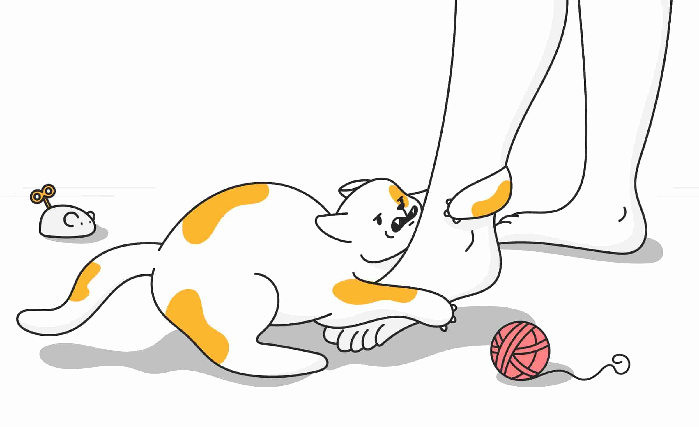 Why Does My Cat Stalk and Pounce on Me?