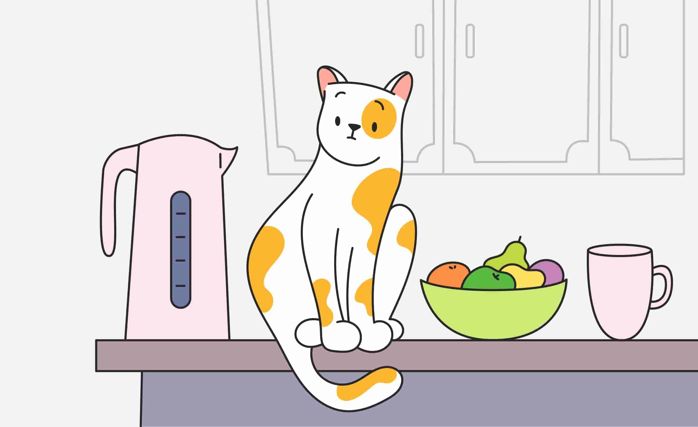 How to Keep Cats off Counters and Kitchen Tables?